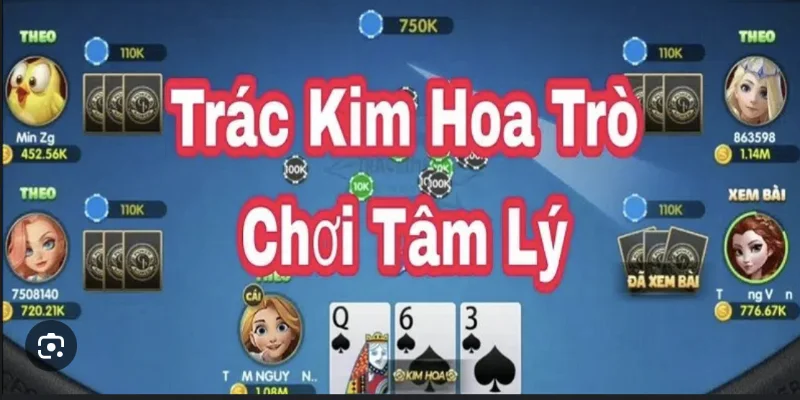 Tìm hiểu về Trác Kim Hoa